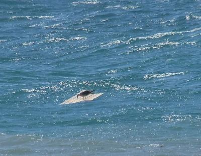 Прикрепленное изображение: s11.jpg